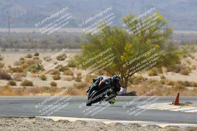 media/Apr-10-2022-SoCal Trackdays (Sun) [[f104b12566]]/Turn 5 Tree of Life (1040am)/